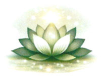 logo-ng-magnetisme